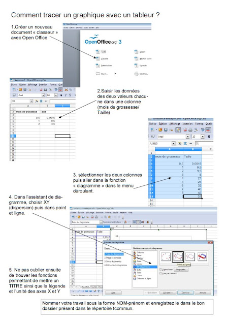 Les SVT dans l'Arène: Aide pour tracer un graphique avec TABLEUR