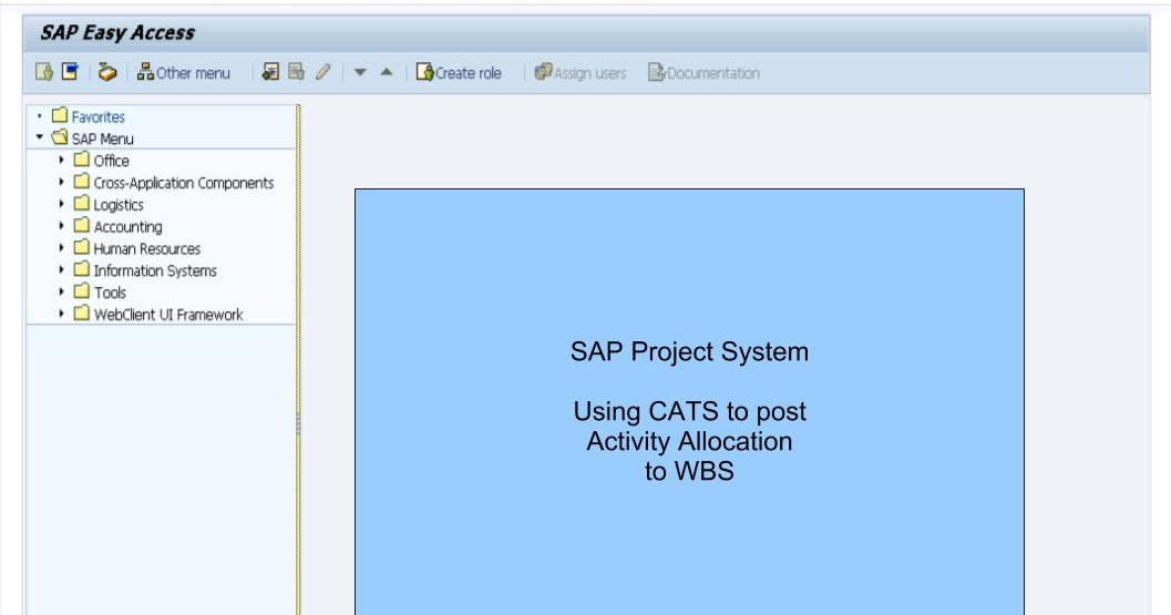 青蛙SAP分享 Froggy's SAP sharing Project System (WBS w/o Network