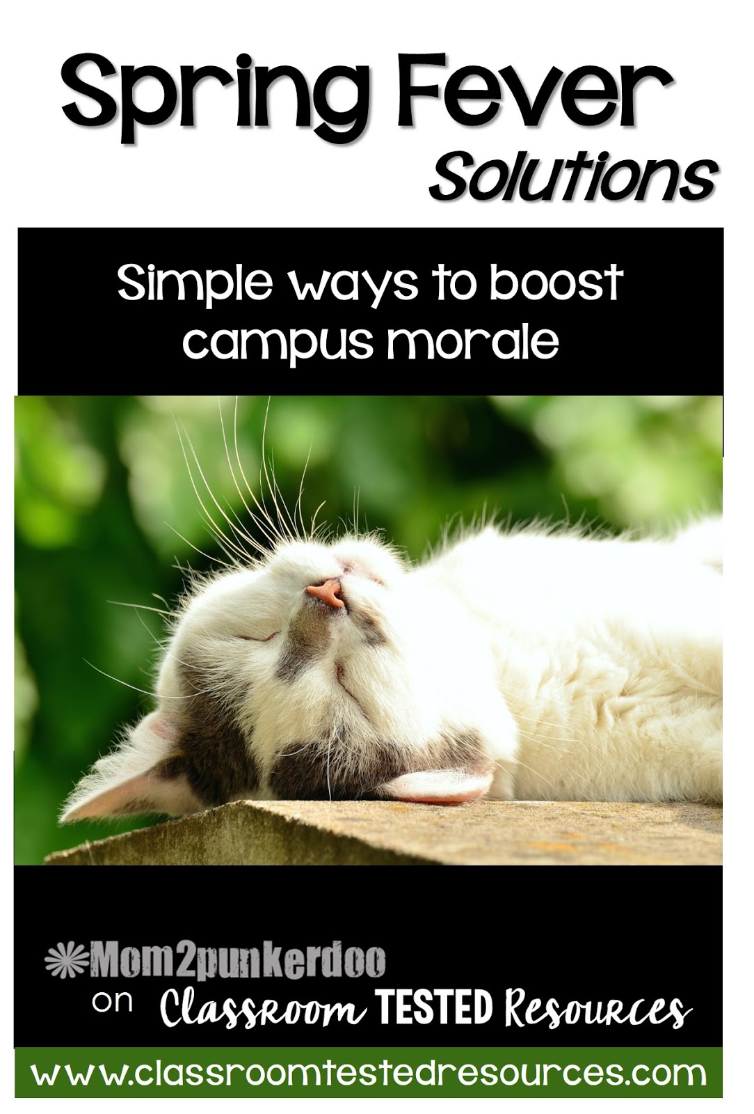 Solutions For Spring Fever Classroom Tested Resources