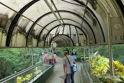 pusat primata schmutzer kebun binatang ragunan jakarta
