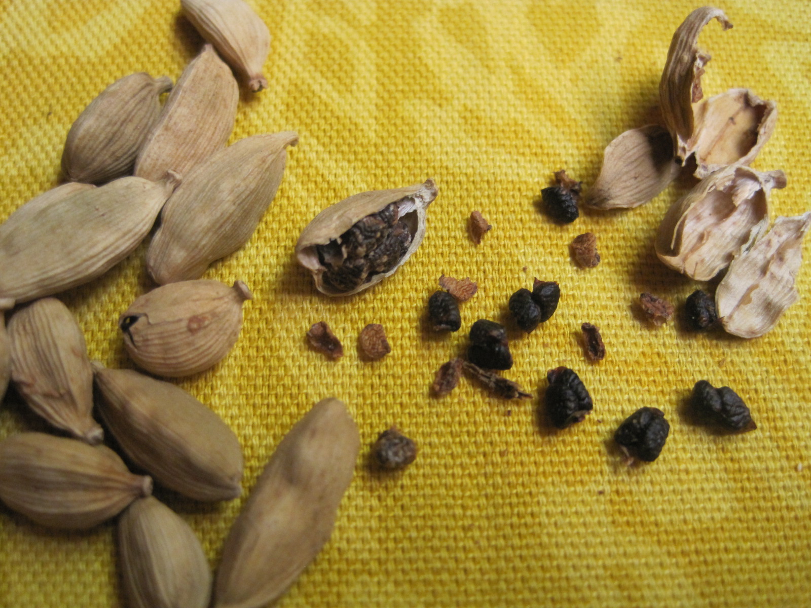 Mom's Cooking Help The Cardamom Pod What Is It and How Do I Cook with it?