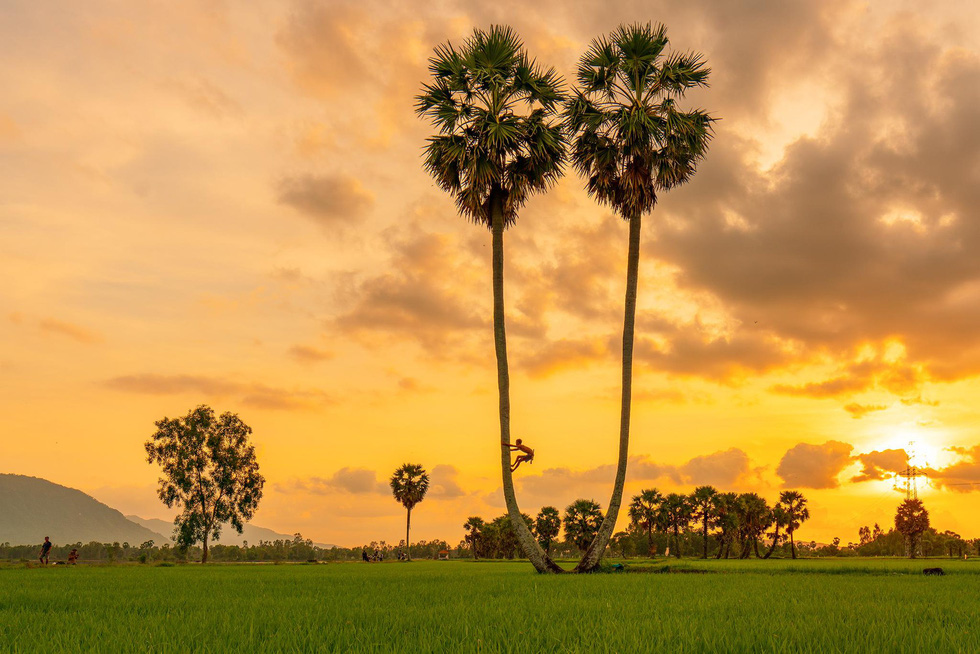 Tịnh Biên - hòn đảo mộc mạc với những hàng cây thốt nốt bao quanh. Nếu bạn muốn khám phá vẻ đẹp hoang sơ của miền quê Việt Nam và thưởng thức hương vị dịch vụ ẩm thực độc đáo, hãy ghé thăm và khám phá khu vực này.