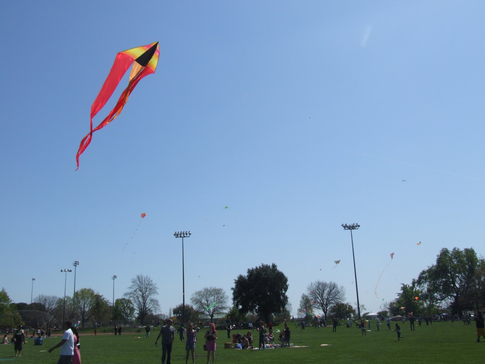Tako Kichi (Kite Crazy) Sunday March 20th is Chico Kite Day
