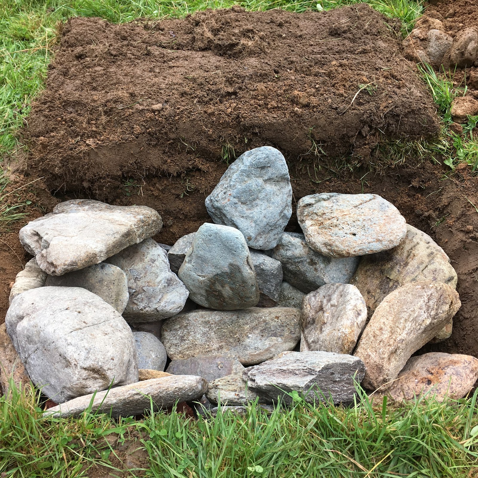 Pit Cooking Lamb in the Ground The Grazer