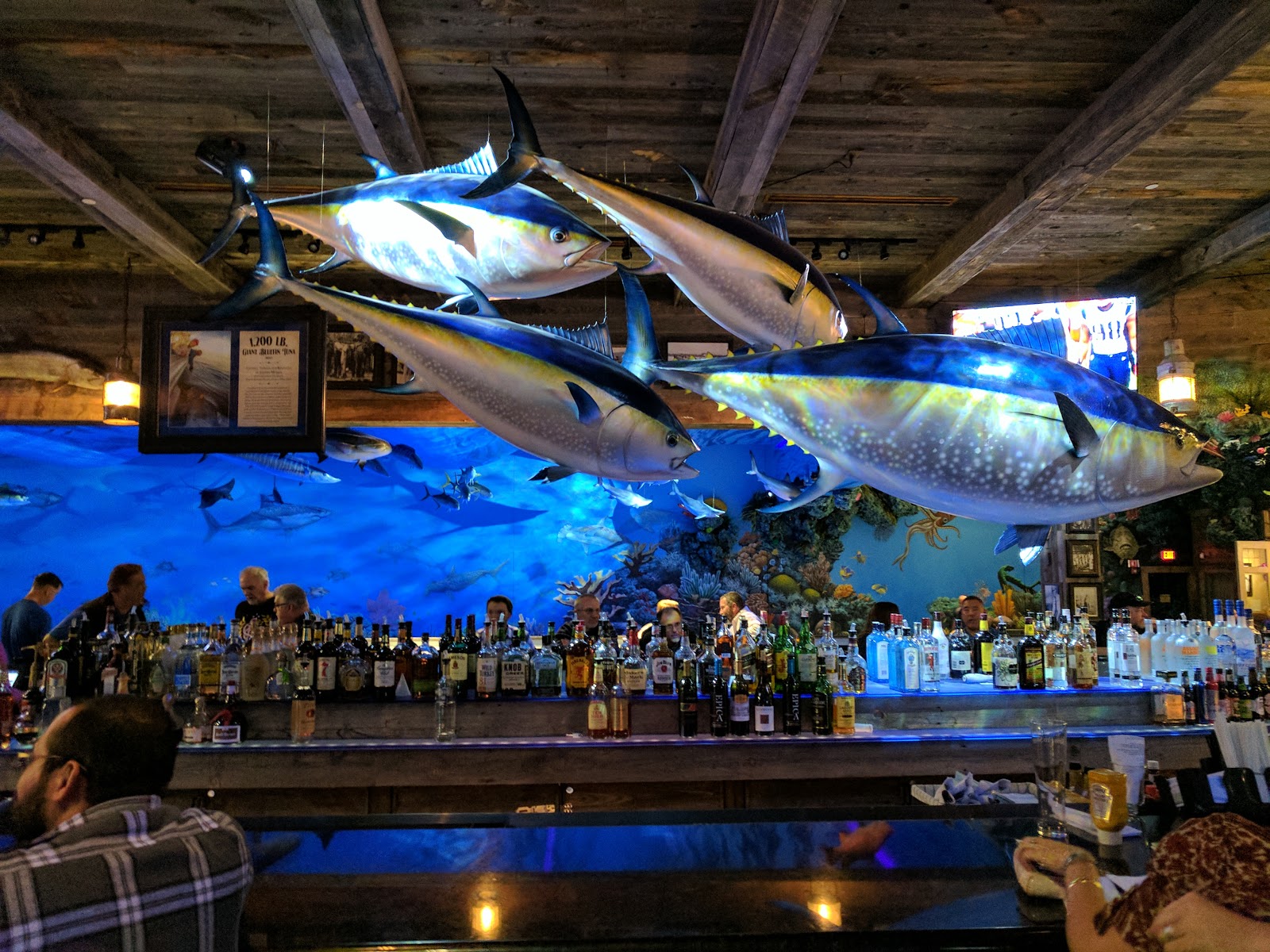The San Jose Blog Uncle Buck's Fish Bowl & Grill San Jose Bass Pro Shops