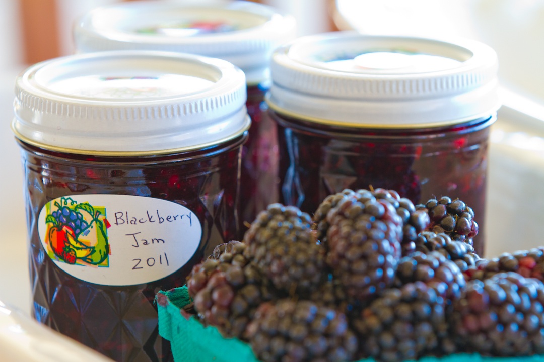 Recipe Resolution; A Culinary Adventure Organic Blackberry (NoCook