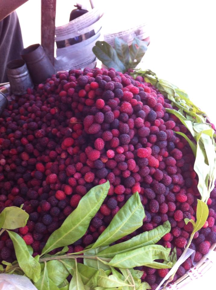 Taste of Nepal Kaaphal or Kafal Fruit काफल (BayBerry)