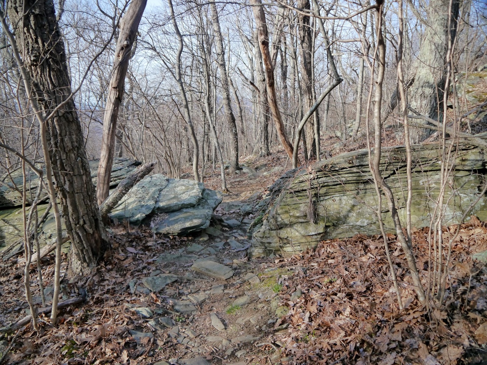 American Travel Journal Rockfish Gap to McCormick Gap Appalachian Trail Shenandoah National