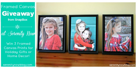 Framed Canvas Prints Giveaway at Serenity Now! #SnapBoxPrints #spon