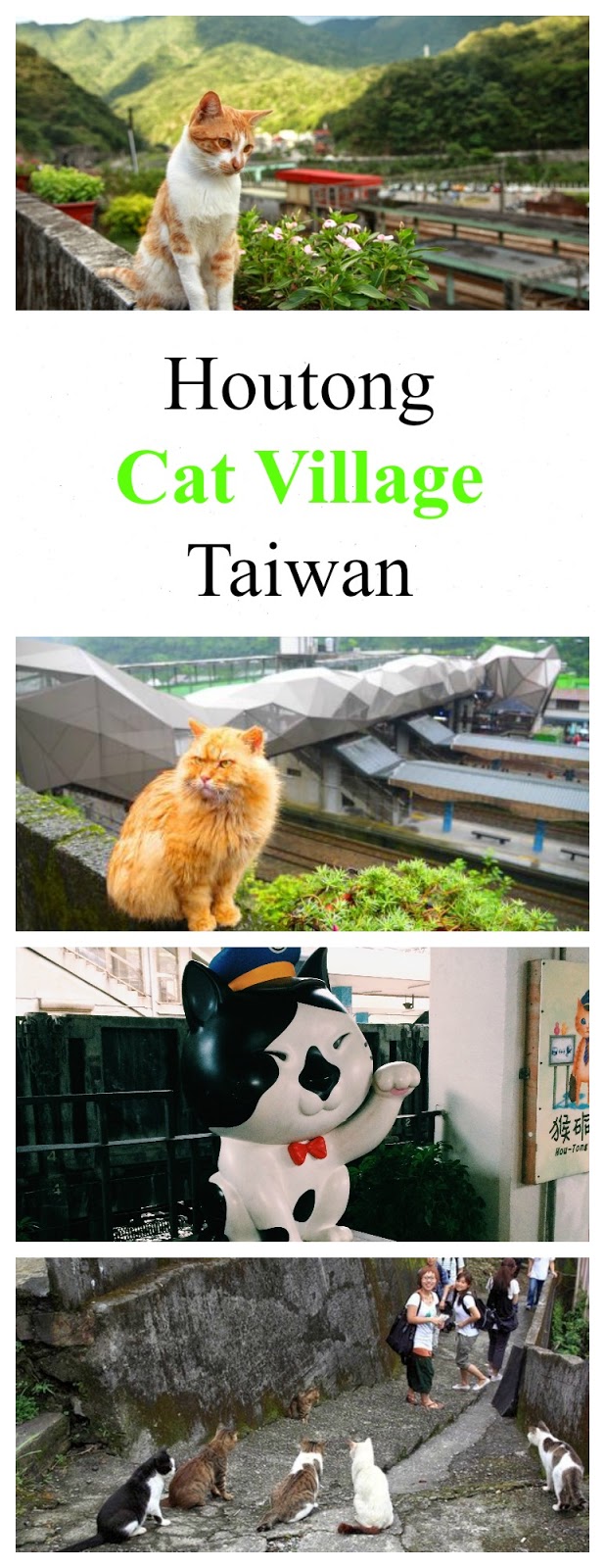 Cats from Houtong {Taiwan} Traveling Cats Travel Pictures of Cats