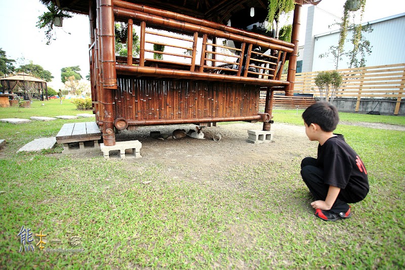 大同醬油黑金釀造館|雲林斗六觀光工廠景點|柳丁醬油 白醬油好吃|台灣欒樹花季