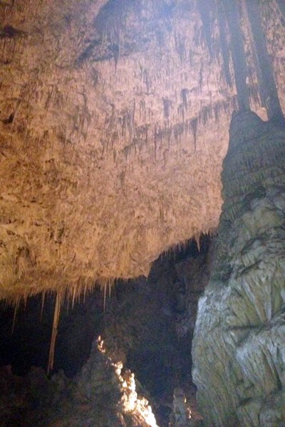 Reef Indy Carlsbad Caverns National Park