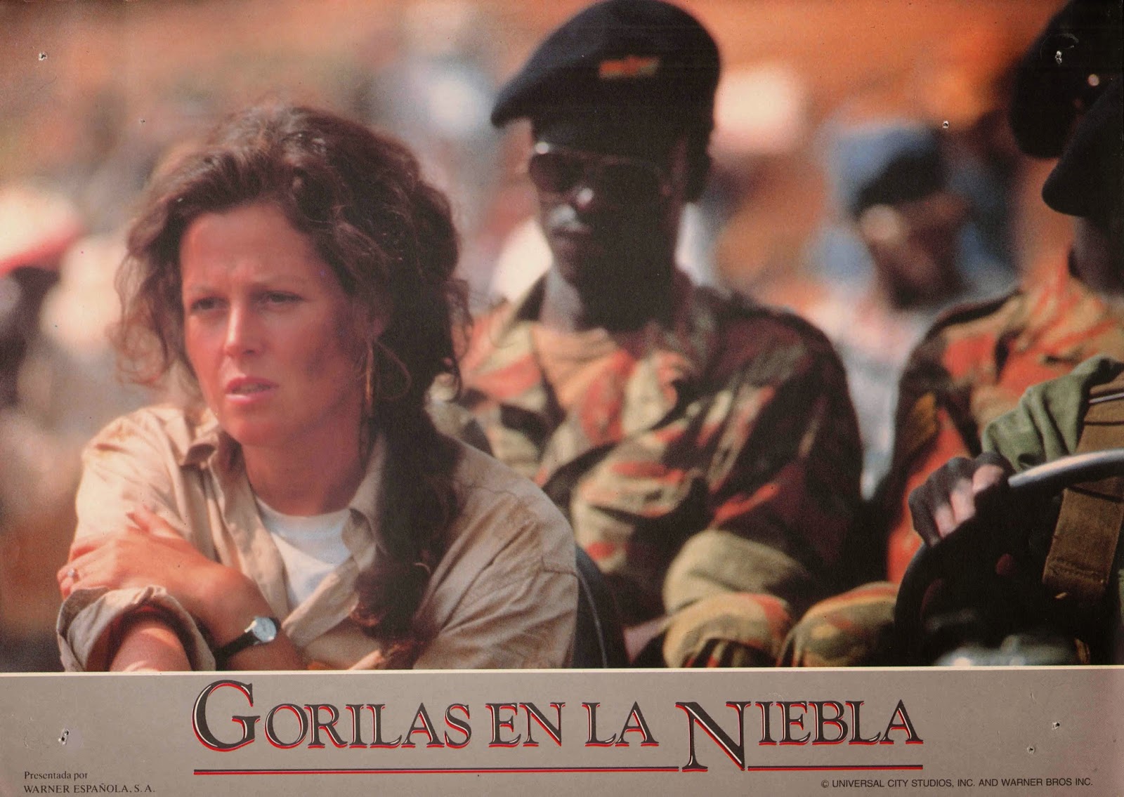 Gorille Dans La Brume Bande Annonce Affiches - Photos d'exploitation - Bandes annonces: Gorilles dans la