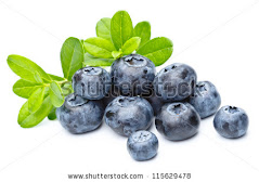 Blueberry for Our Longevity!
