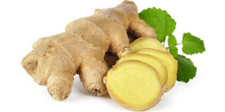 Terbukti ! 10 Tanaman Herbal Ini Efektif Obati Tukak Lambung Terbukti ! 10 Tanaman Herbal Ini Efektif Obati Tukak Lambung