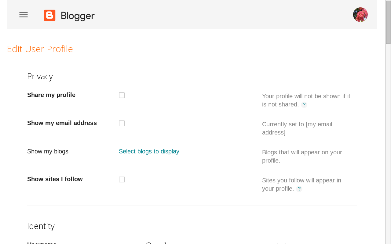 Customize Your Blogger Profile