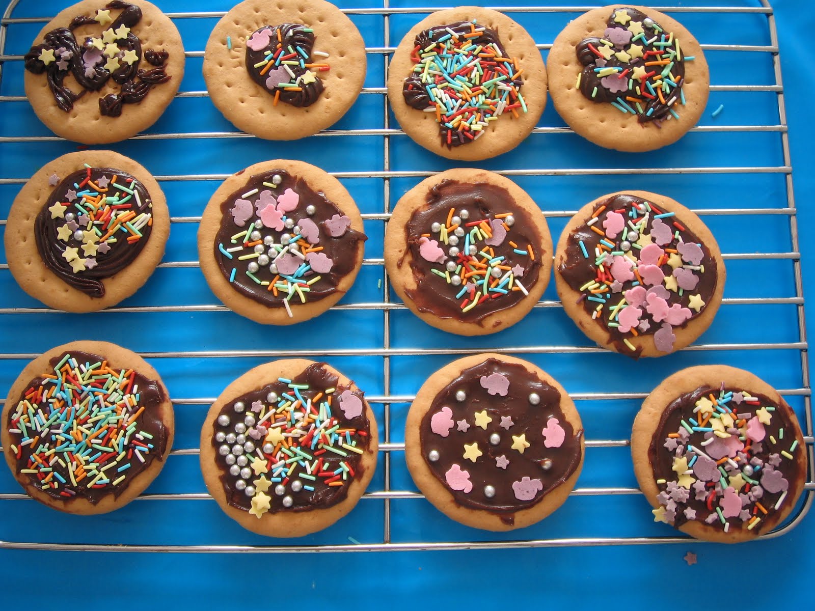 Bakes and Makes DECORATING BISCUITS