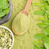 ▷ Para que Sirve la Moringa → 5 Datos 【2019】