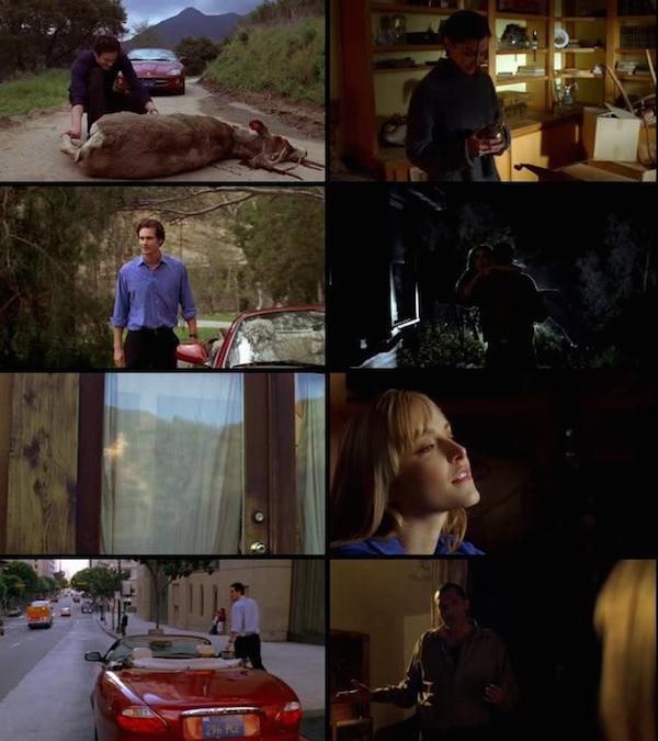 Ring Around The Rosie 2006 Dual Audio Hindi DVDrip 720p Ring Around The Rosie 2006 Dual Audio Hindi DVDrip 720p