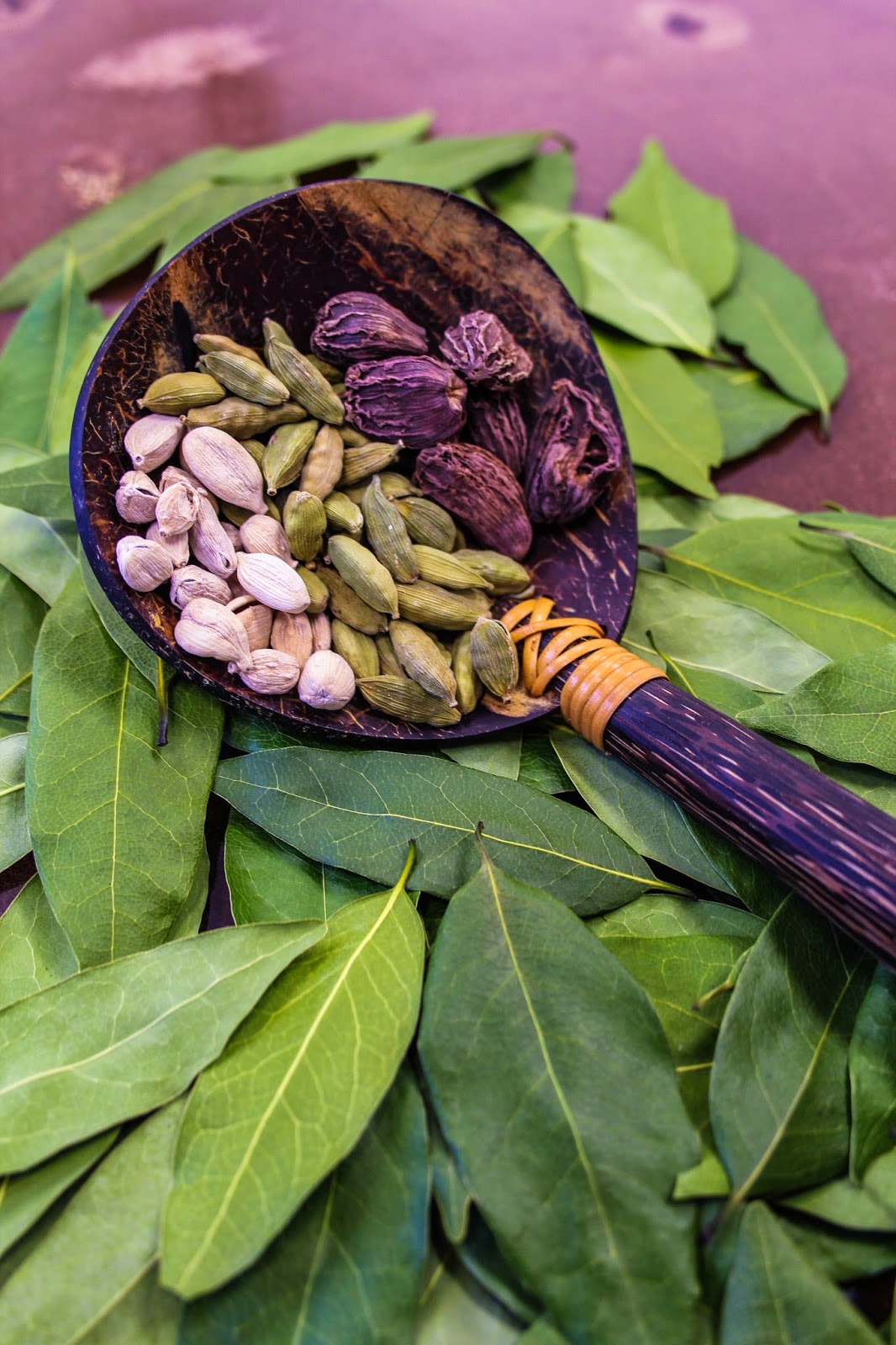 Chasing Santa Fe SAVORY SPICE SHOP SANTA FE