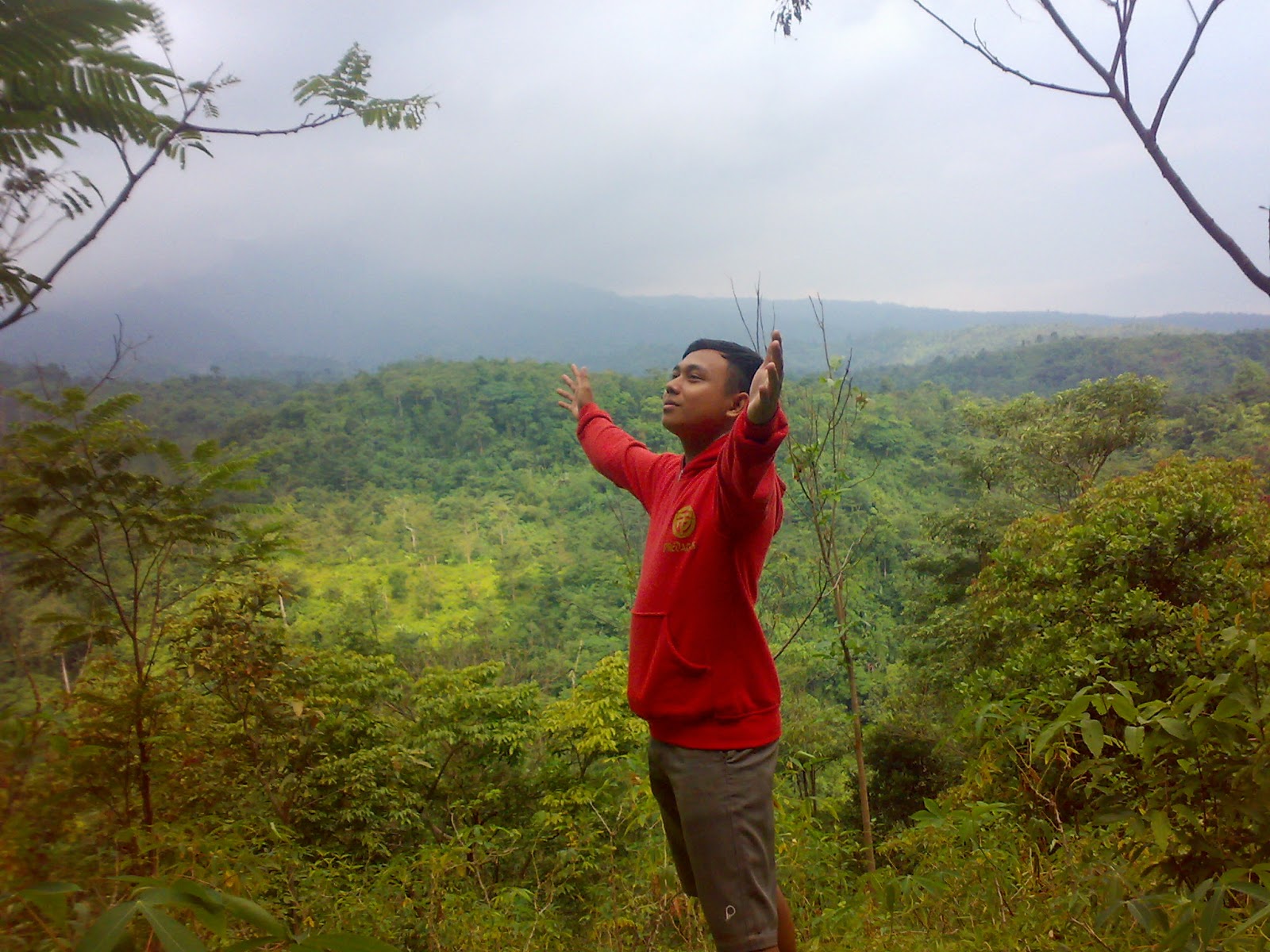 WONO PINUS SETRO ATAU LEBIH DIKENAL DENGAN TINESAN ~ Design Interior