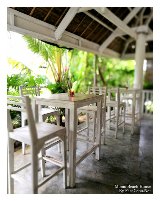 The Beach Tree Cafe in Momo Beach House The Beach Tree Cafe in Momo Beach House