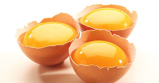 kuning telur kuning telur