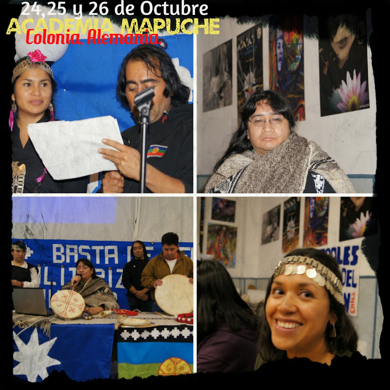 Academia mapuche