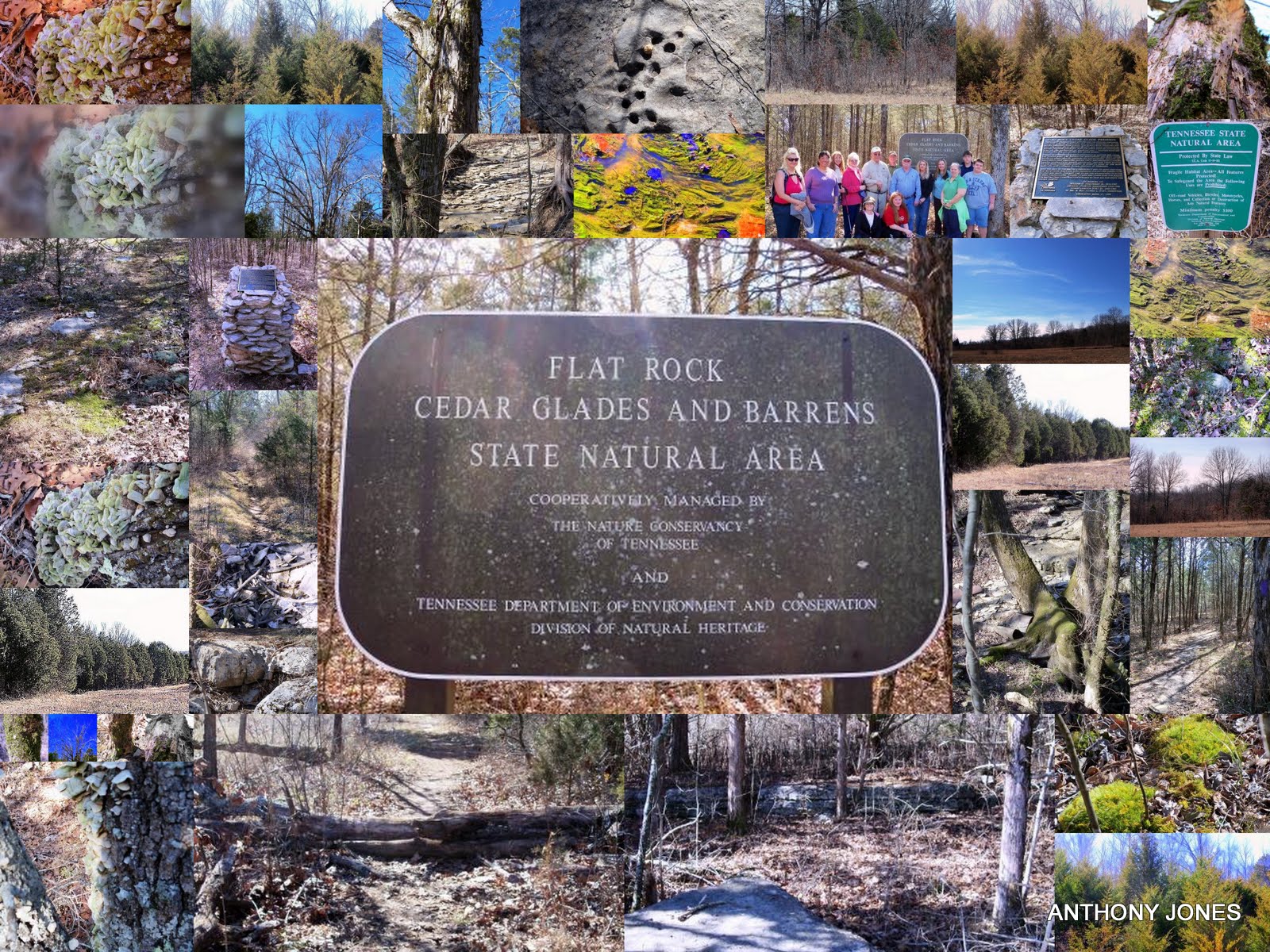 Tennessee Trails Murfreesboro Hike Report Flat Rock Cedar Glade 21311