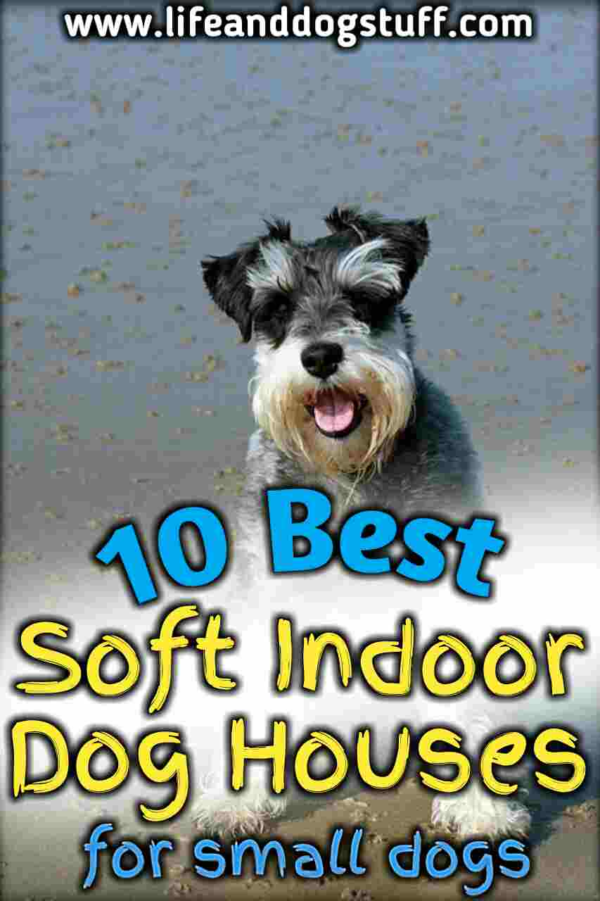 10 Best Soft Indoor Dog Houses For Small Dogs