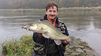 Big zander on spinning Big walleye - zander spinning
