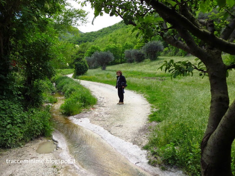 Strada per Villanova di Frontale