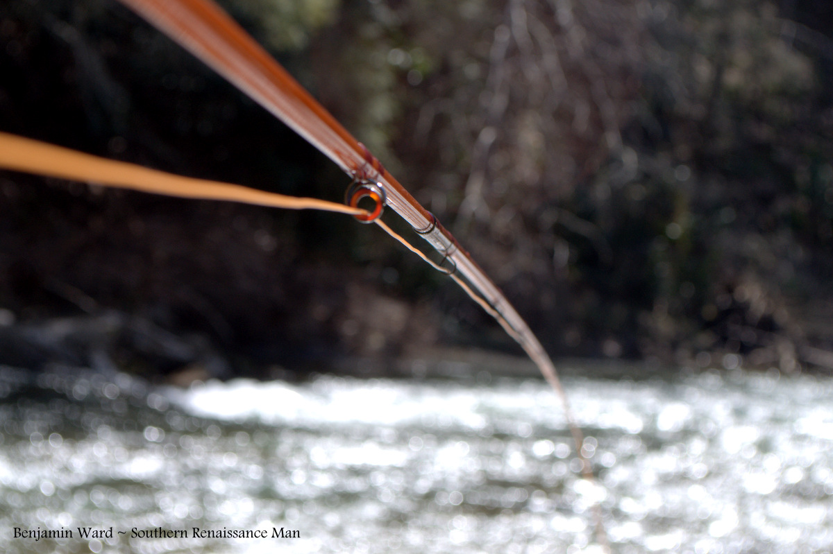 Southern Renaissance Man Jackson River VA Fly Fishing Report (In Pictures)