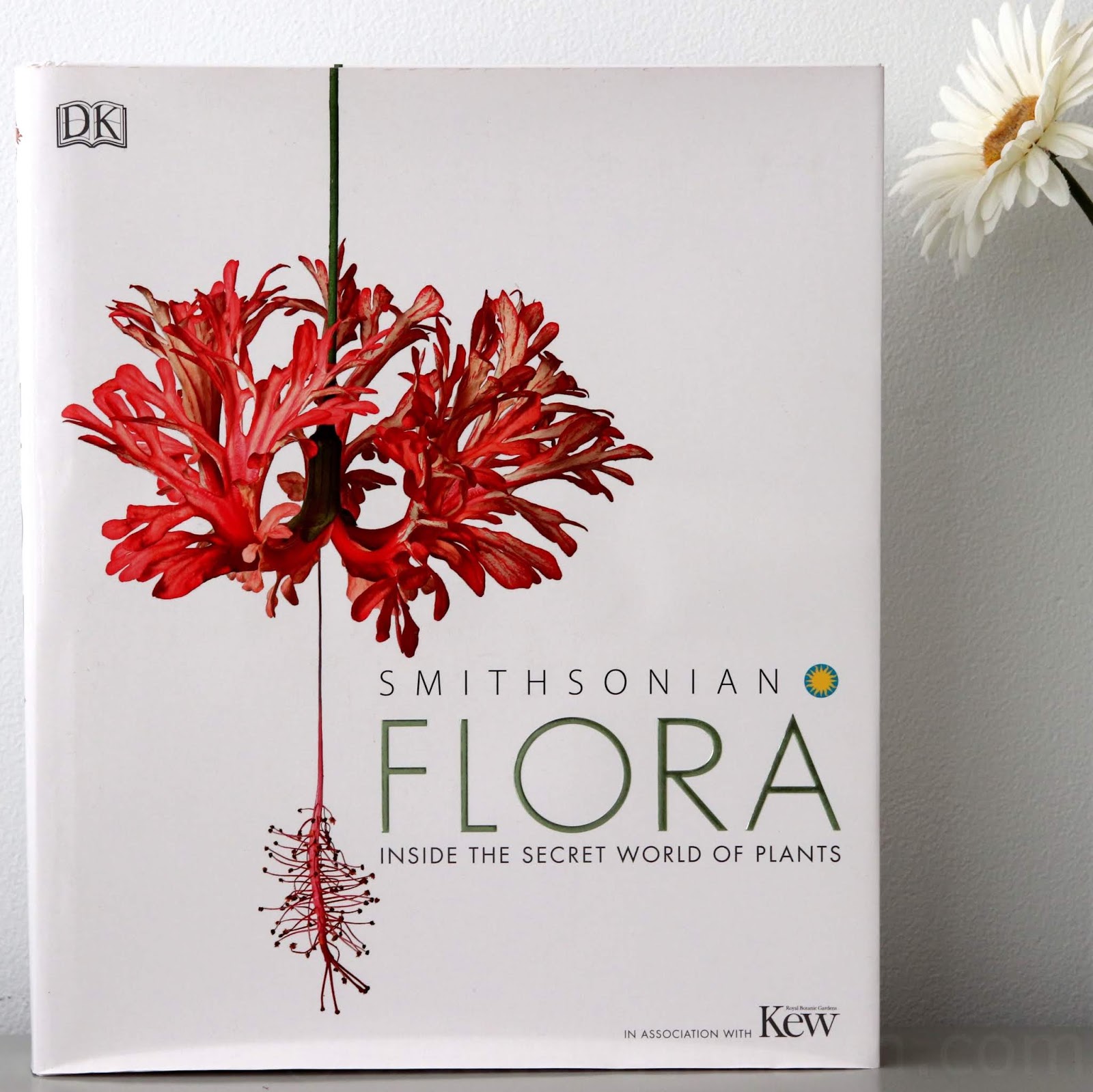 Create With Mom DK books on Flora and Fauna