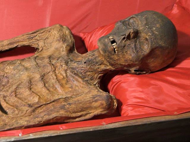 Les momies des catacombes de Klatovy Catacombes%2Bde%2BKlatovy.7