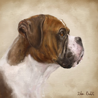  Boxer Oil Painting