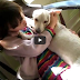 Dog Saved From Euthanasia Can’t Stop Thanking The Girl Who Saved Her