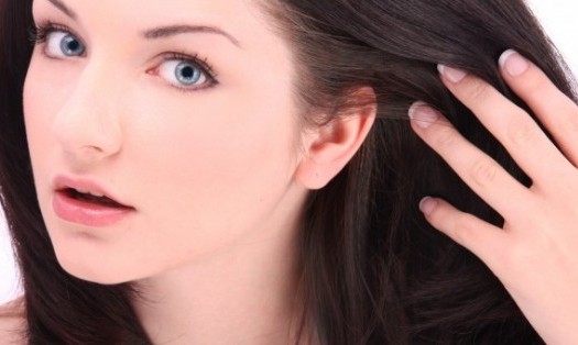 Bagian-bagian Telinga dalam Proses Pendengaran