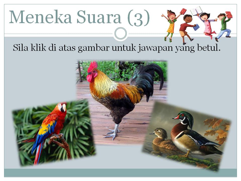 Bahasa Malaysia Tahap Satu Bahasa Malaysia Habitat Haiwan