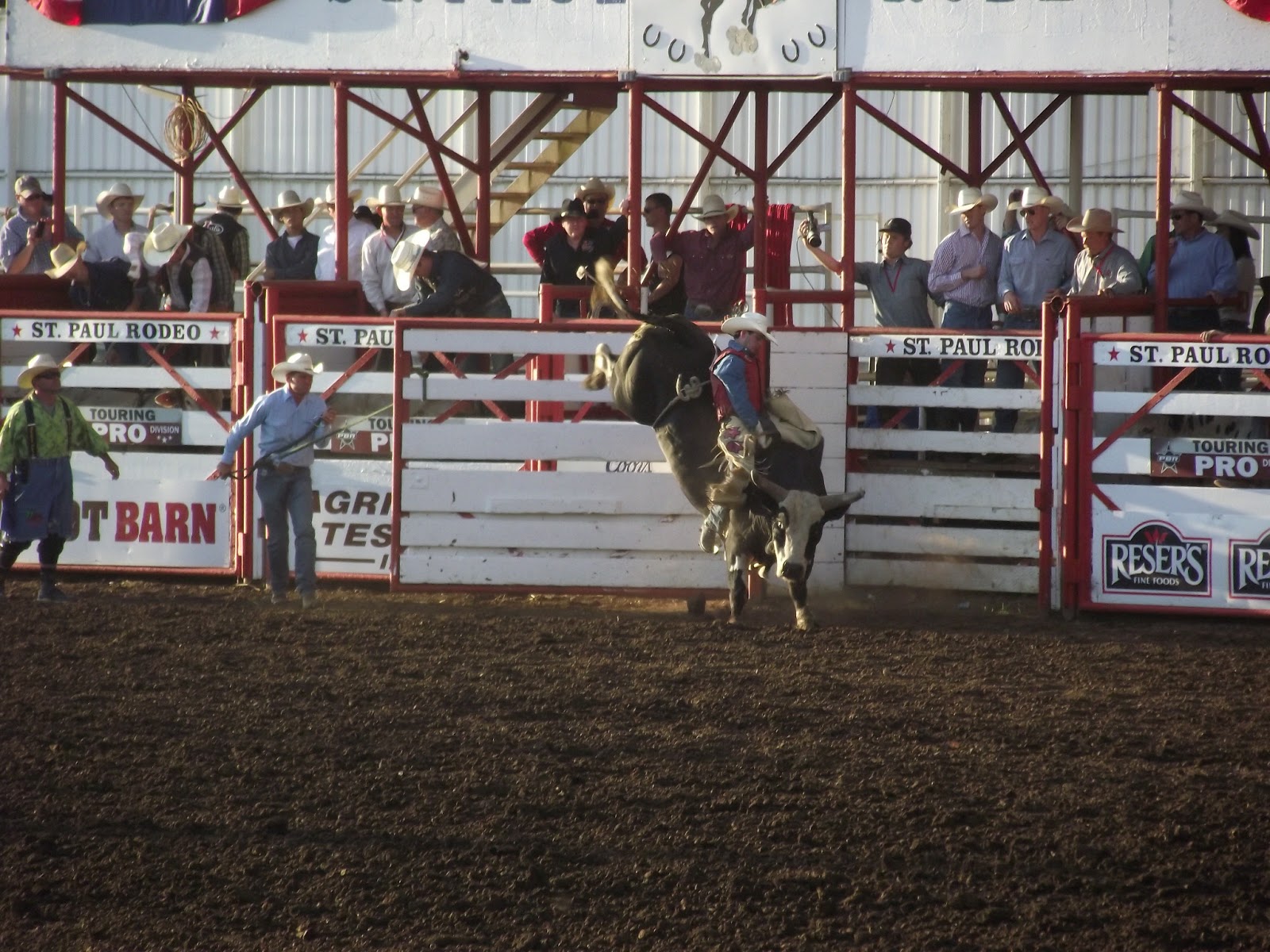 . The St Paul Rodeo