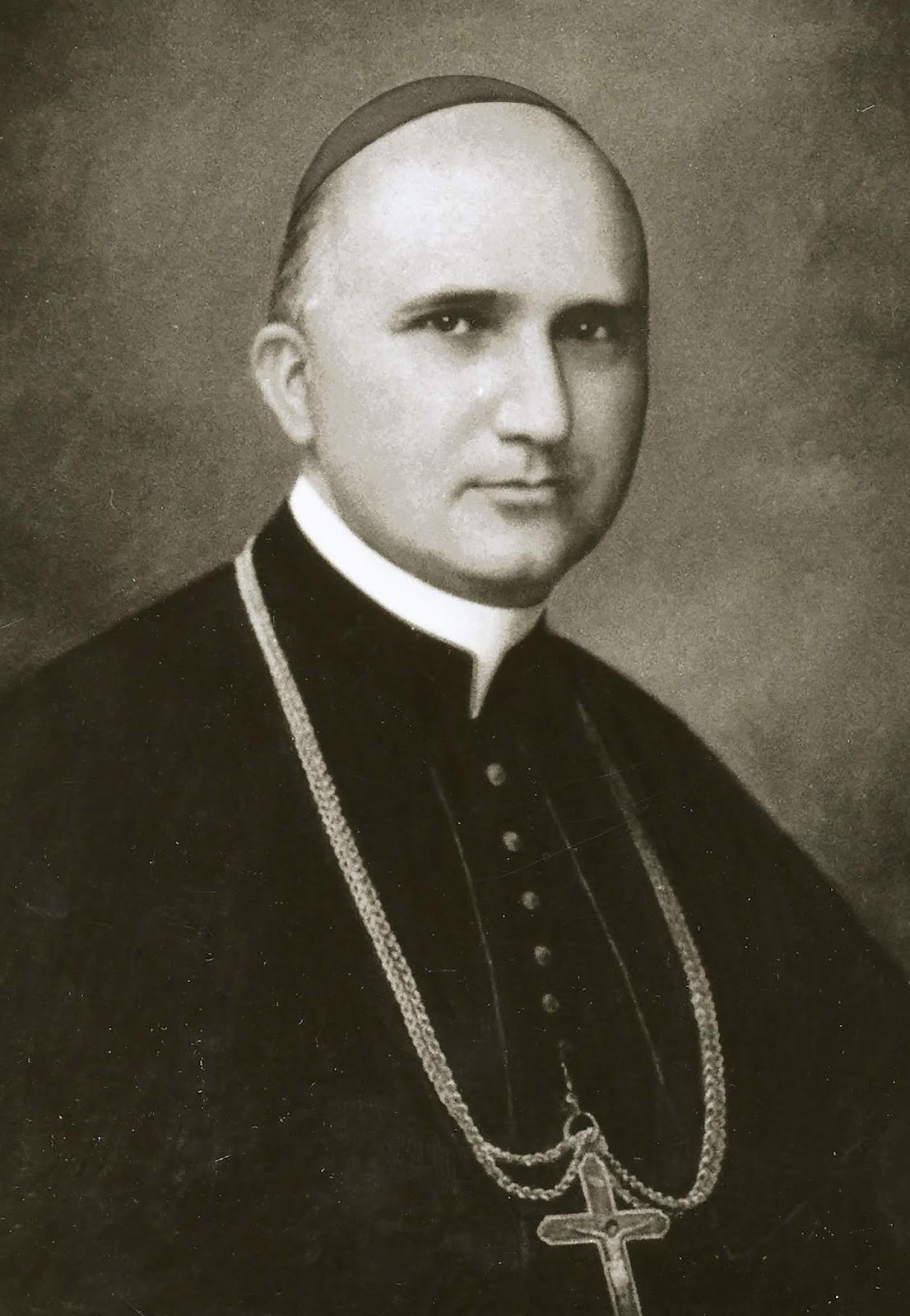 Tihamer Toth, uma biografia O Fiel Católico Tihamer Toth, uma biografia O Fiel Católico