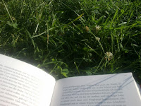 Buch und Wiese Buch und Wiese