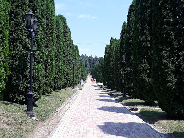 Долина роз. Аллея кипарисов, Кисловодск