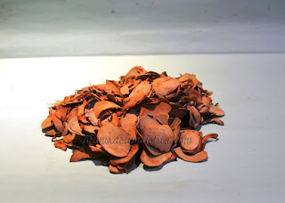 tongkat ali, pasak bumi, Eurycoma longifolia, penawar pahit, bedara pahit, bedara putih, bedara merah, hempedu pahit, payung ali, tongkat baginda, muntah bumi, petala bumi, akar jangat semang, tongkat rasul, dan setunjang bumi
