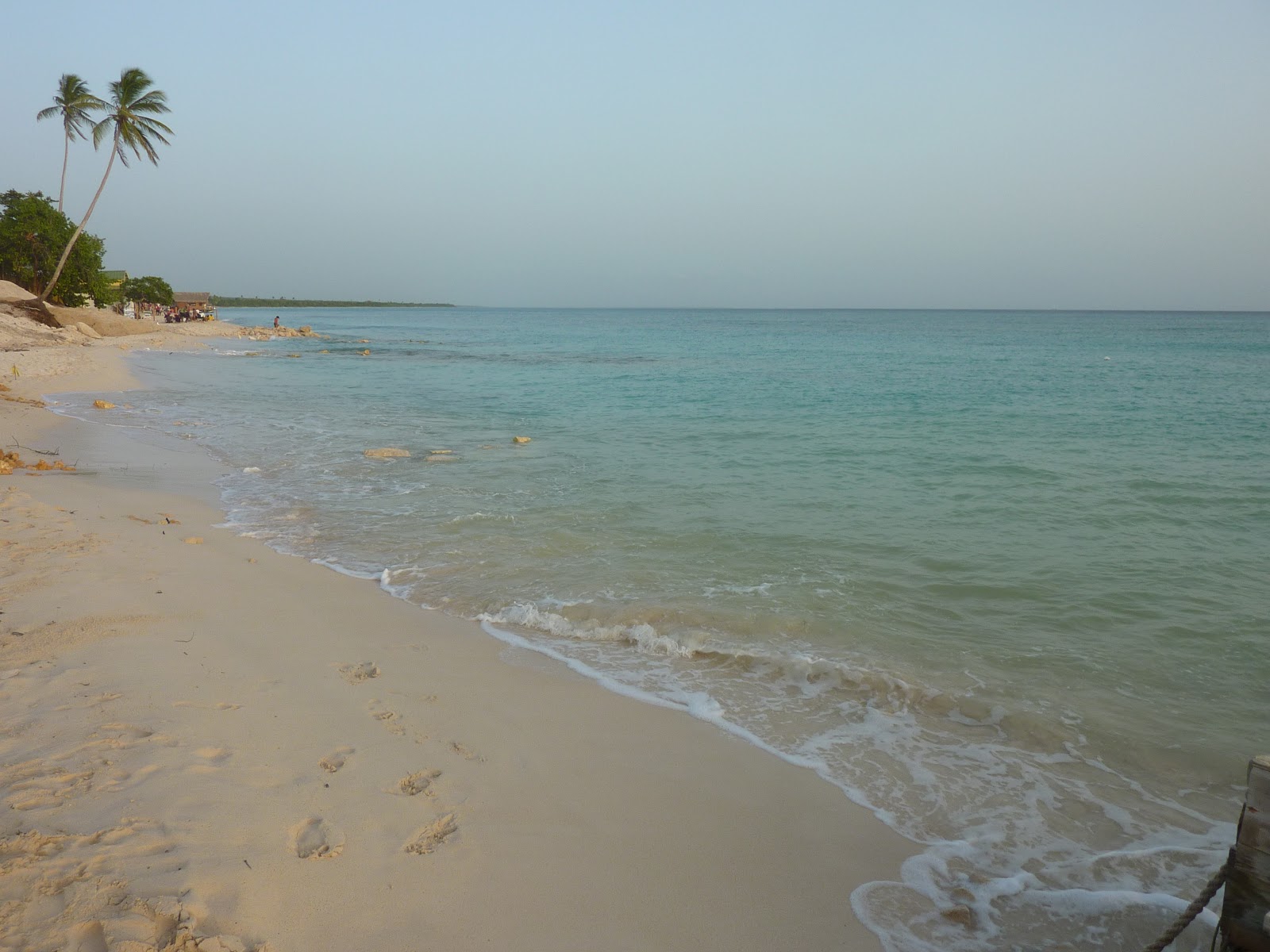 Observations of the Practical Kind Dominican Republic Dreams