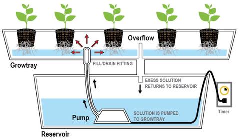 The Ebb and Flow System The Ebb and Flow System