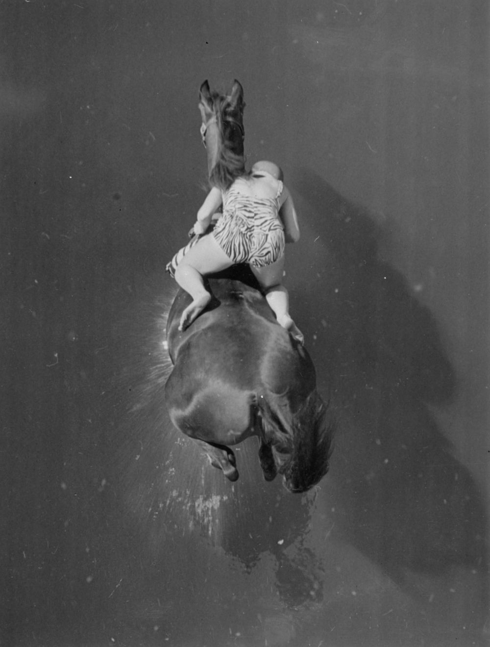 20 Incredible Vintage Photographs of Women Diving Horses in Atlantic City From the Early 20th