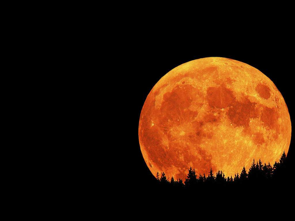 http://4.bp.blogspot.com/-R42fgk4C12Y/UGVYZx51dzI/AAAAAAAAAYE/9K5lg0yMIyk/s1600/1.red-full-moon-wallpaper-dark-night-photo-hd.jpg