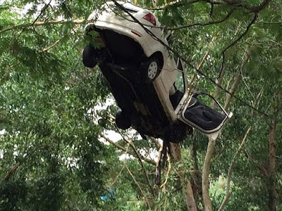 proton-car-hanging-on-a-tree