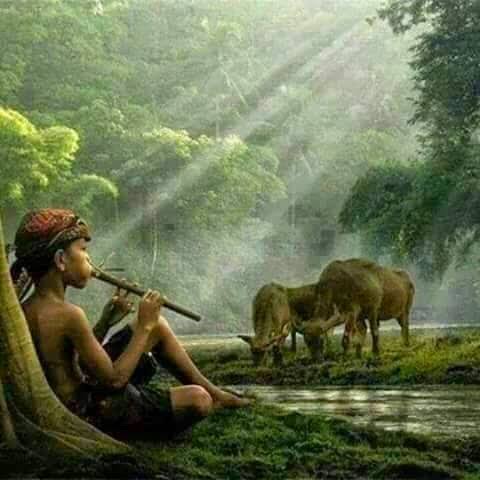 &ccedil;&cedil;&eacute;&aring;&ccedil;